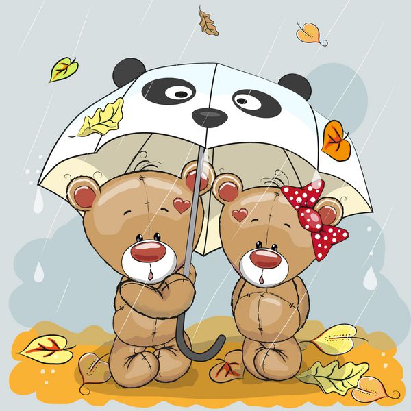 دو خرس دارچین ناز با چتر زیر باران