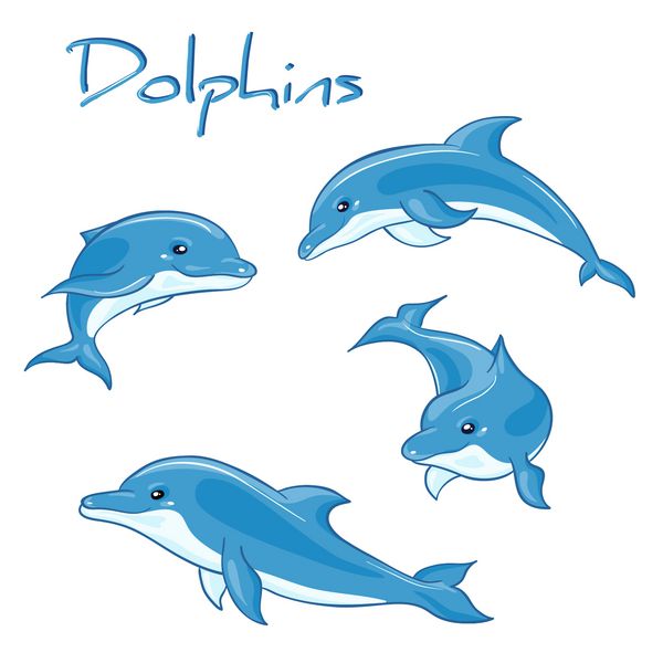 مجموعه ای از مجموعه کارتونی دلفین های کارتونی در مجموعه های مختلف