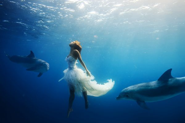 مدل زیبا در لباس سفید در زیر آب یک دختر غواصی با دلفین ها بدون وسایل اسباب بازی پری دریایی فانتزی در اقیانوس عمیق سطح آب با نور خورشید