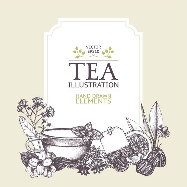 طراحی کارت های برداری با تصویر چای دست چیده شده پس زمینه تزئینی inking با طرح چای پرنعمت قالب طراحی شده