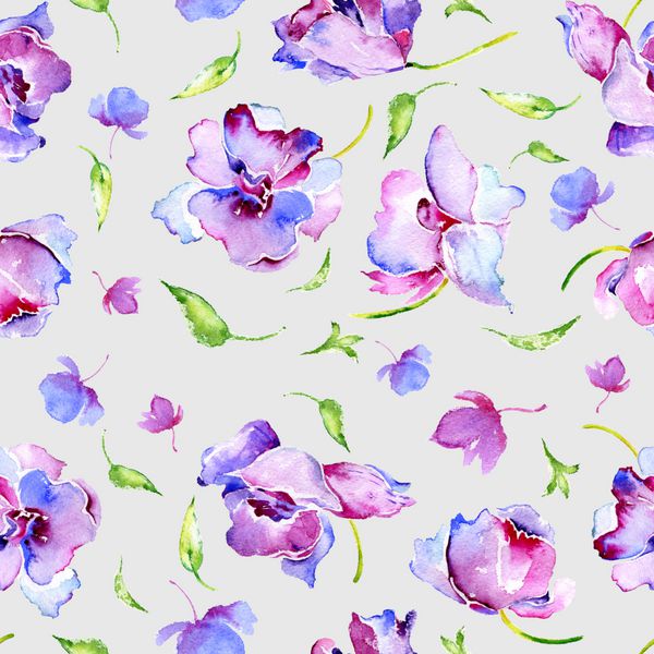 الگوی بدون درز آبرنگ گل های ارغوانی الگوی زیبا برای دکوراسیون و طراحی چاپ مرسوم مد روز الگوی نفیس برای طراحی گل های آبرنگ خاکستری