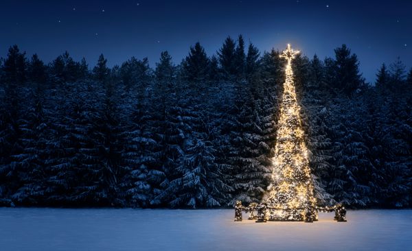 درخت کریسمس نور در برف در شب با فضای کپی