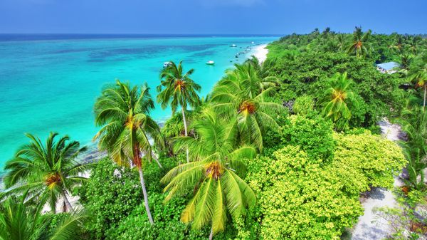 ساحل جزیره گرمسیری در مالدیو و دیدگاه اقیانوس هند