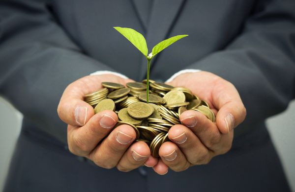 دست از مرد کسب و کار نگه داشتن یک درخت رو به رشد در سکه های طلایی سرمایه گذاری در کسب و کار با تمرین csr