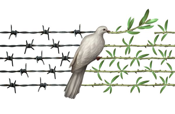 مفهوم خوشبینی و دیپلماسی امید را به عنوان کبوتر بر روی سیم خاردار به شاخه های زیتون به عنوان نمادی برای بشریت و یک جهان امن تر جهانی و یا تبریک برای روز زمین جدا شده بر روی سفید امیدوار است