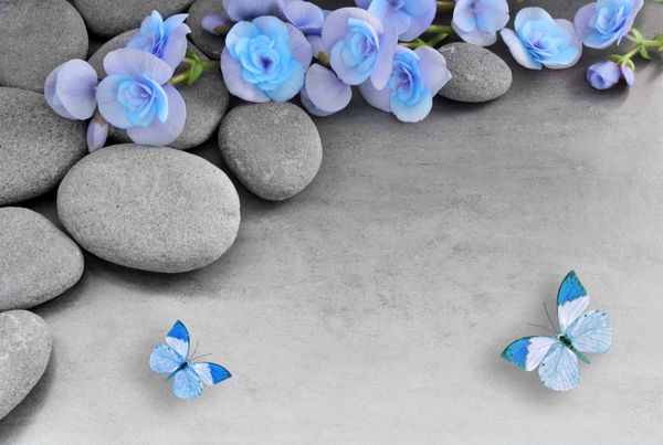 گل آبی و پروانه در پس زمینه خاکستری سنگ