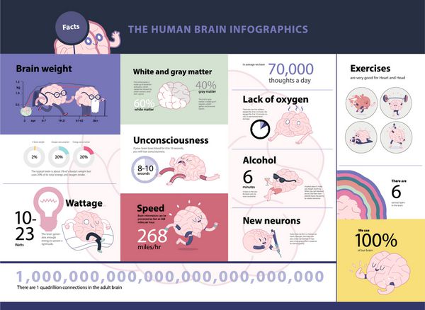مجموعه اطلاعاتی انسانی مغز تصاویر جدا شده از کارتون با حقایق و نمودار های آماری بخشی از مجموعه مغز