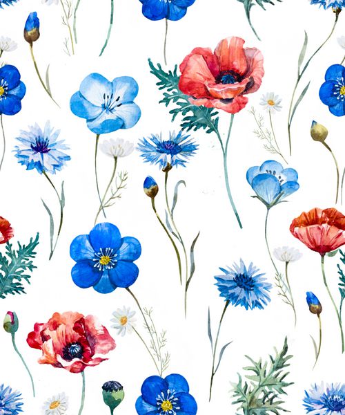 الگوی گل تابستان آبرنگ گل های وحشی خشخاش قرمز گل گاوزبان آبی پس زمینه ملایم
