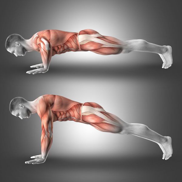 رندر 3D از شکل مردانه در فشار دادن برجسته کردن عضلات مورد استفاده در ورزش است