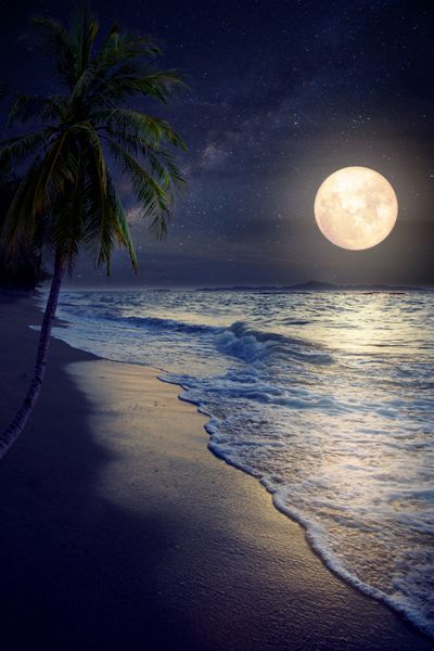 ساحل زیبای فانتزی گرمسیری با ستاره شیری در آسمان شب ماه کامل آثار هنری با سبک یکپارچهسازی با سیستمعامل با تنهای رنگ پرنعمت عناصر تصویر این ماه ارائه شده توسط ناسا