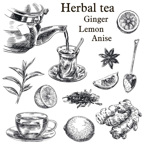طرح های دست چهره چای طبیعی لیمو زنجبیل و ستاره ای در یک زمینه سفید