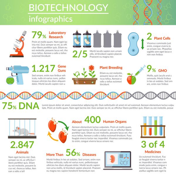 طرح infographics بیوتکنولوژی با اطلاعات در مورد تحقیقات در پزشکی گیاه مهندسی ژنتیک پرورش تصویر بردار مسطح