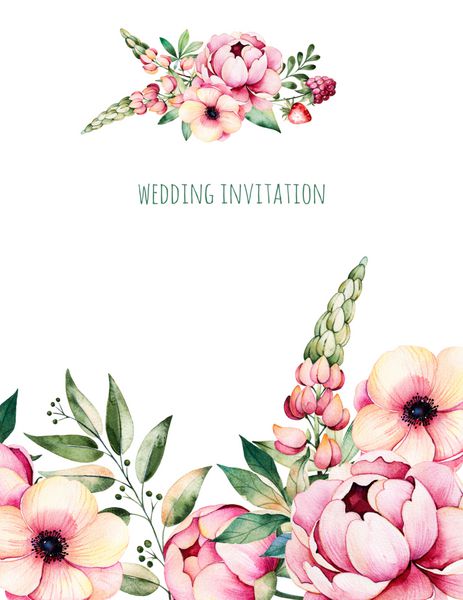 کارت عروسی زیبا با محل برای متن با گل peonies برگ شاخه لوپین کارخانه هوا توت فرنگی نقاشی دست نقاشی می تواند به عنوان یک کارت تبریک عروسی دعوت نامه نامه ها وبلاگ ها استفاده می شود