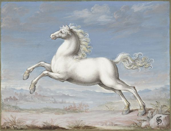 اسب سفید توسط Joris Hoefnagel 1560-99 نقاشی Flemish گواش در برنزه Hoefnagel آخرین نشانگر رسمی مهم فلسطین بود او همچنین یک کتاب چند جلدی از هیستو طبیعی ایجاد کرد