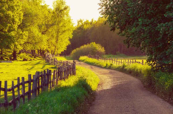 روستایی سوئد تابستان چشم انداز آفتابی با جاده درختان سبز و حصار چوبی مفهوم hipster اسکاندیناوی ماجراجویی