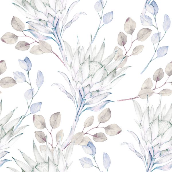 الگوی برگ های پروتئین و الگوی اکالیپتوس شاخه های آبرنگ مفهوم بدون درز با عناصر گل گل بر روی زمینه سفید برای بسته بندی کاغذ دیواری پارچه پارچه