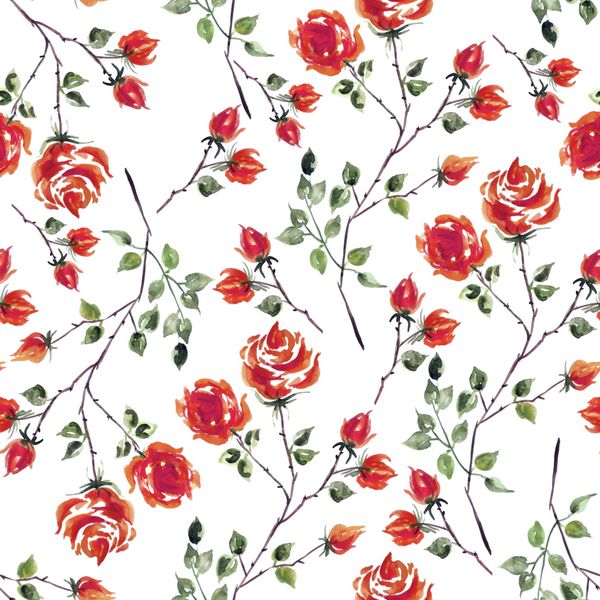 الگوی گل گل آبرنگ از گیاهان گل رز قرمز برگ گل و جوانه در یک زمینه سفید این را می توان برای طراحی بسته بندی و زمینه های دیگر استفاده می شود