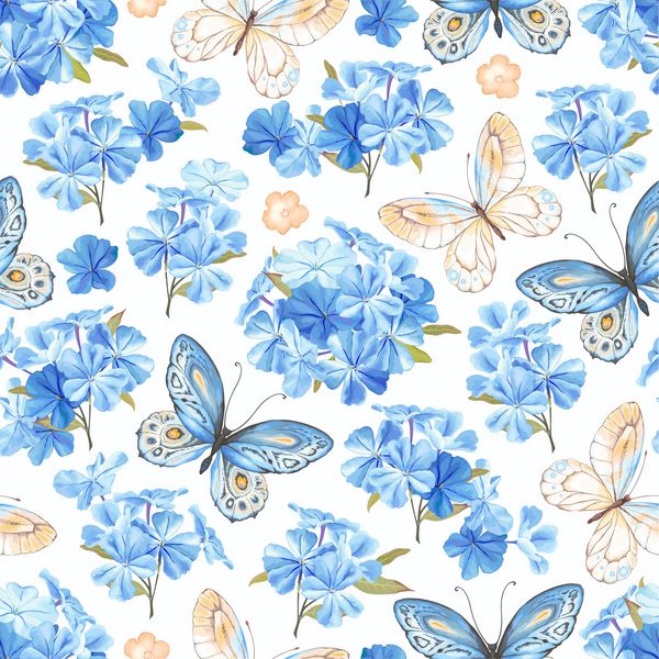 الگوی بدون درز با گل phlox پروانه ای رنگ آبی و زرد تصویر بردار روستایی در سبک پرنعمت در زمینه سفید
