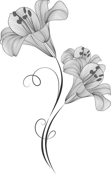 دست نقاشی پس زمینه گل با لیلی گل عنصر برای طراحی تصویر برداری