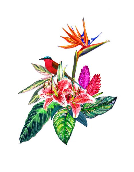 الگو برای کارت تبریک دعوت نامه گل های گرمسیری برگ های عجیب و غریب و پرنده با حروف