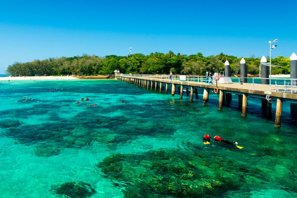 جزیره سبز در کیرنس کوئینزلند استرالیا