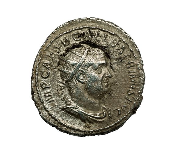 سکه نقره ای سنتی نقره ای با پرتره مردانه بر روی سفید تصویر برداری نزدیک