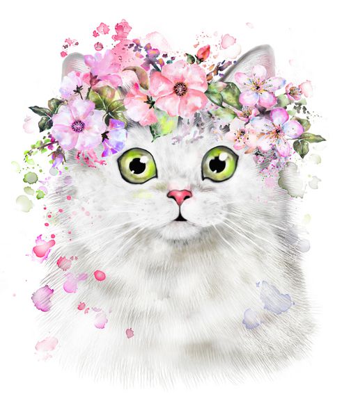 تصویر آبرنگ ناز زیبا تی شرت چاپ کارت گربه پوستر تاج گل گل و چلپ چلوپ رنگ جدا شده هپسیر