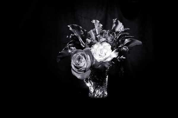 گلدان کریستال گل های زیبا بر روی زمینه ی تاریک