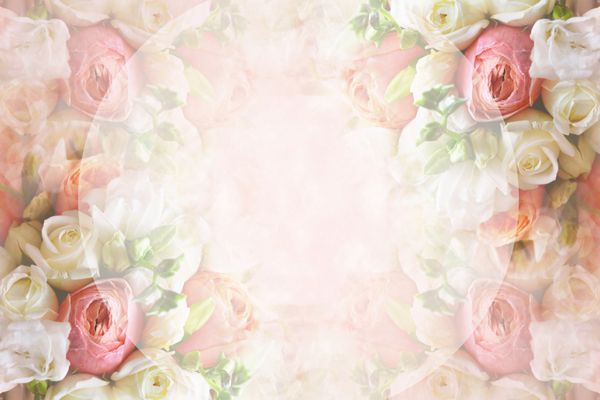 کلاژ گل رز تابستان قاب عروسی دسته گل عروسی صورتی کارت پستال و گل های نرم
