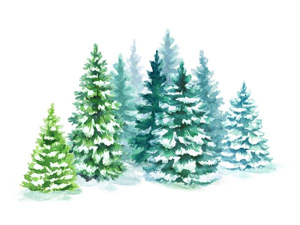 آبرنگ تصویر جنگل مخروطی درختان کریسمس طبیعت زمستان زمینه تعطیلات مخروط برف در فضای باز چشم انداز روستایی برفی
