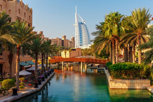 Cityscape با پارک زیبا با درختان نخل در دبی امارات متحده عربی
