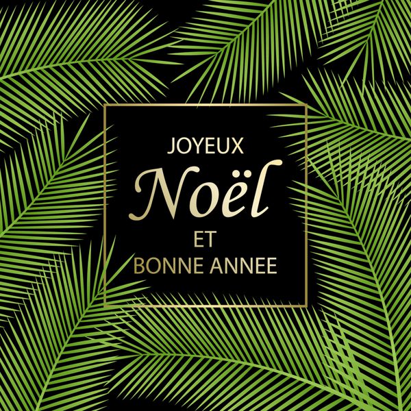 Joyeux Noel et Bonne Annee متن به زبان فرانسه به معنای کریسمس مبارک و سال نو مبارک است کارت تبریک با درخت خرما و کتیبه