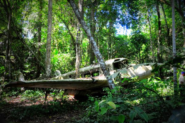 هواپیما در جنگل سقوط کرد