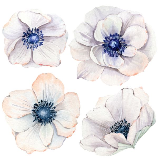 Handpainted watercolor flowers set in vintage style It