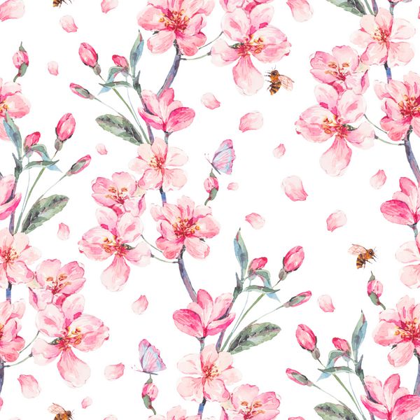 پس زمینه بدون درز با گل صورتی شکوفه شاخه های گیلاس هلو گلابی ساکورا درختان سیب و پروانه ها تصویر جداگانه گیاه شناسی