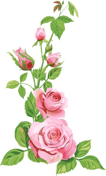 دسته گل رز گل صورتی گل قرمز و جوانه برگ های سبز در زمینه سفید قرعه کشی دیجیتال مفهوم طراحی بردار