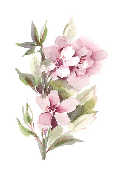 درخت گل اپل نقاشی دست نقاشی