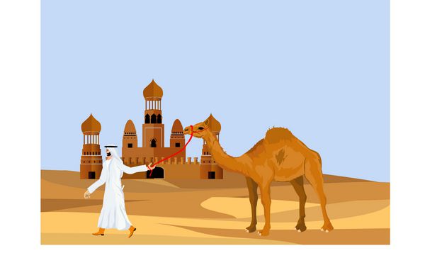 مرد عرب با شتر در صحرا راه می رود تصویر برداری