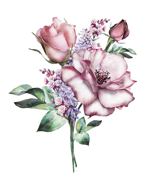 گل های آبرنگ تصویر گل گل در رنگ پاستل گل صورتی شاخه گل جدا شده بر روی زمینه سفید برگ و جوانه ترکیب ناز برای عروسی و یا کارت تبریک دسته گل