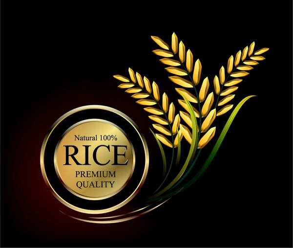 لوگوی طراحی گلدان دانه ای محصولات طبیعی طبیعی با پس زمینه سیاه و سفید تصویر برداری مفهوم بردار برنج طلای آرم طراحی برداری