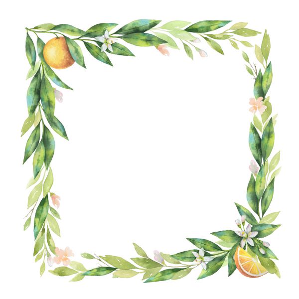 آبرنگ مربع قاب میوه نارنجی شاخه جدا شده بر روی زمینه سفید تصویر برای دعوت عروسی طراحی کارت تبریک کارت پستال گل های بهار یا تابستان با فضای متن خود