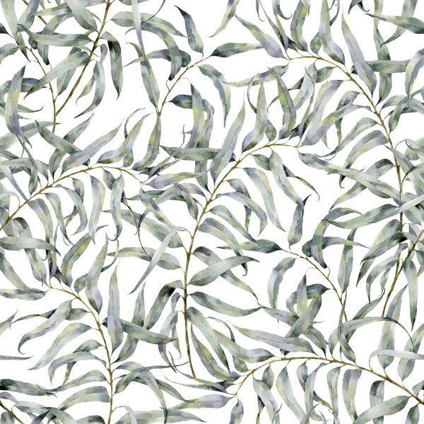 الگوی گل آبرنگ با شاخه اکالیپتوس تزئین دست با نقوش با برگ های عجیب و غریب جدا شده بر روی زمینه سفید برای طراحی یا چاپ