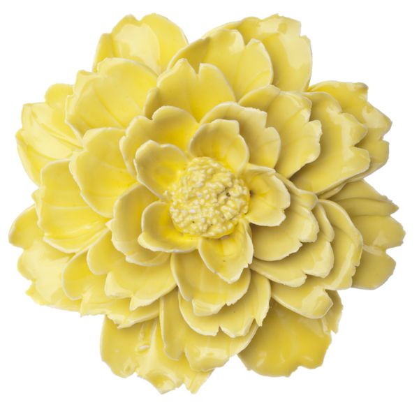 دکوراسیون گل سرامیکی زرد جدا شده بر روی سفید