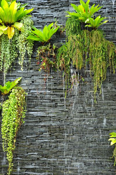 یک آبشار در دیوار سنگی با گیاهان سبز