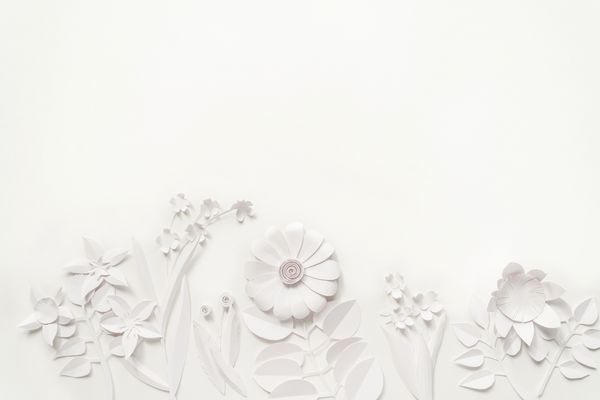 کاغذ سفید گل کاغذ دیواری بر روی زمینه سفید پس زمینه تابستان بهار عناصر طراحی گل