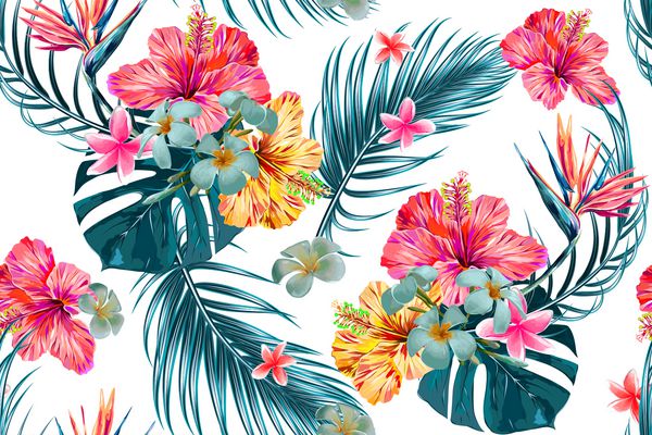 الگوی زیبا بدون درز گلدار پس زمینه تابستان بهار با گل های گرمسیری برگ های نخل برگ های جنگلی هیبیسوس پرنده گل بهشت تصویر زمینه عجیب و غریب سبک هاوایی