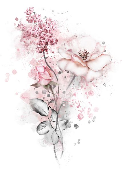 گل های آبرنگ تصویر گل گل در رنگ پاستل گل صورتی شاخه گل جدا شده بر روی زمینه سفید برگ و جوانه ترکیب ناز برای عروسی و یا کارت تبریک