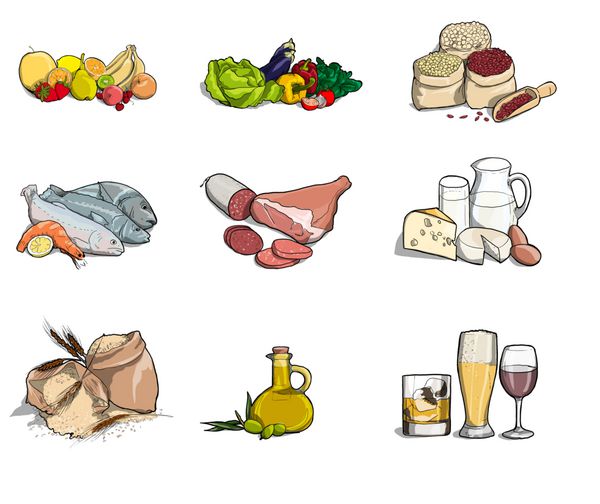 تصویری از انواع مختلف مواد مغذی شامل میوه ها سبزیجات گوشت شیر ماهی روغن