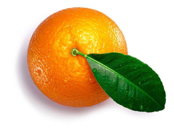 نارنجی با برگ میوه مرکبات مرکبات کل مسیرهای برش سایه جدا شده نمایش بالا