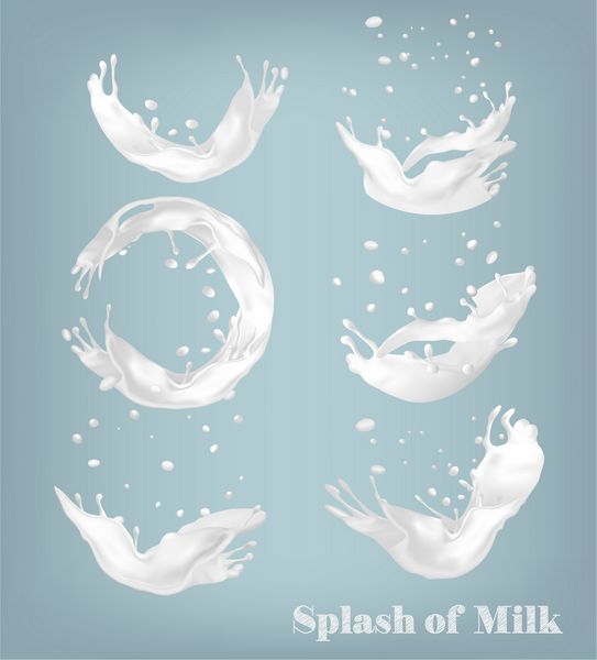 شیر شیر در پس زمینه شفاف بردار مجموعه